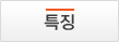 도입효과